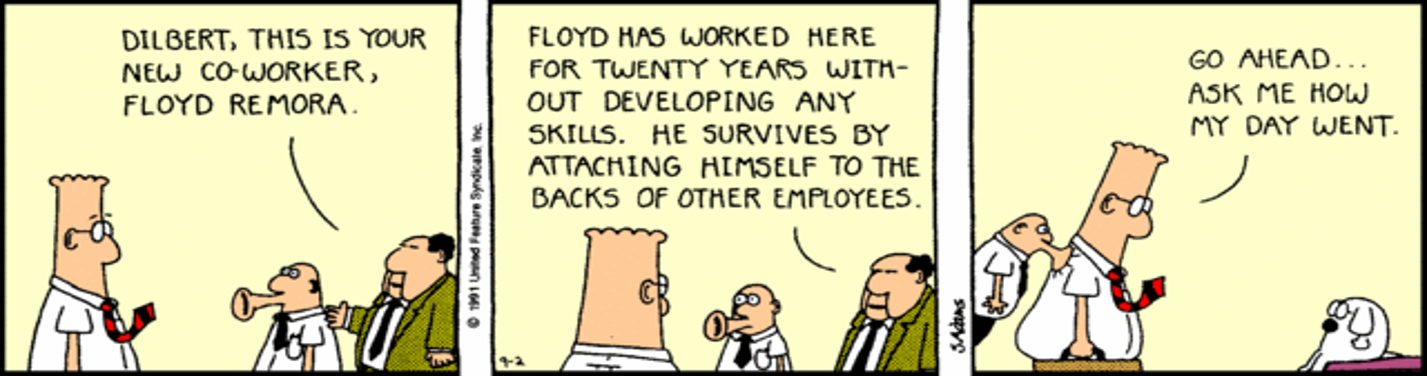 Dilbert Freerider